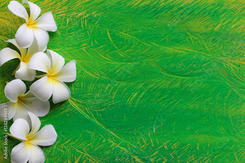 Plumeria flowers on a wooden Light Green..copy space