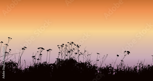 Vector grassy silhouette 
