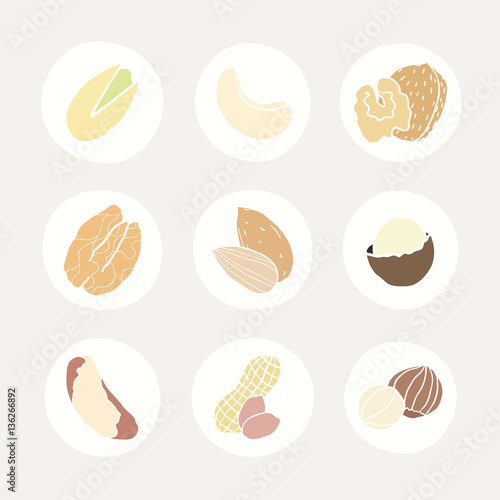 Set of different nuts icons. Vector hand drawn illustrations
