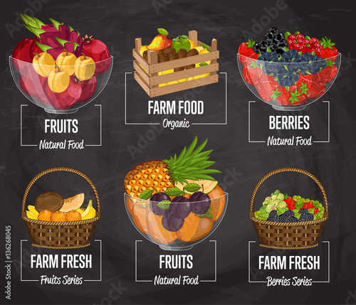 Organic farm fruit set vector illustration. Natural sweet fruit, organic farming, vegan food store, retail farm product label. Healthy fruit advertising with apricot, strawberry, pineapple, berry.