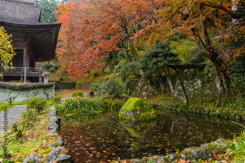 Beautiful Japanese park in autumn
