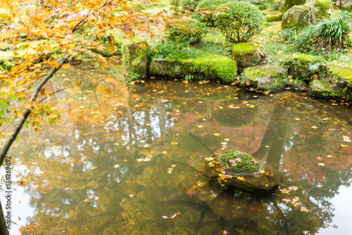 Fototapeta Naklejka Na Ścianę i Meble -  Autumn landscape in Japanese temple