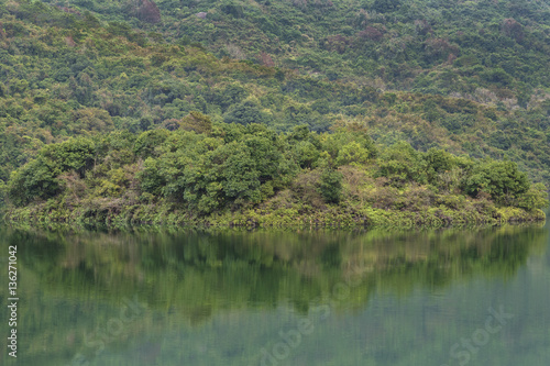 Forest lake reflecting trees in Hong Kong. Natural background