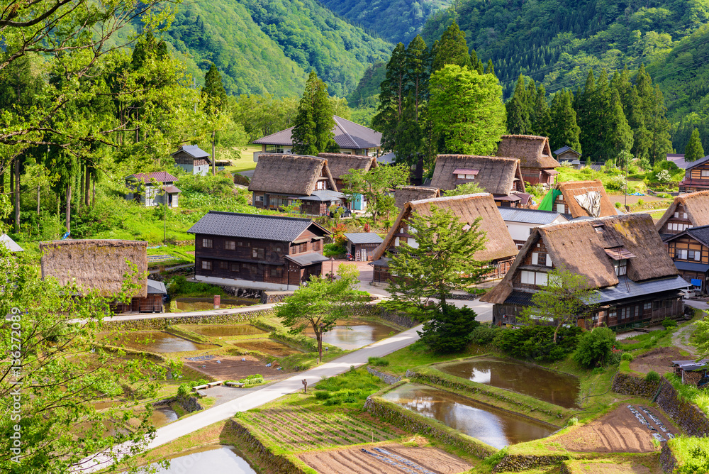Fototapeta premium world heritage village Gokayama Village