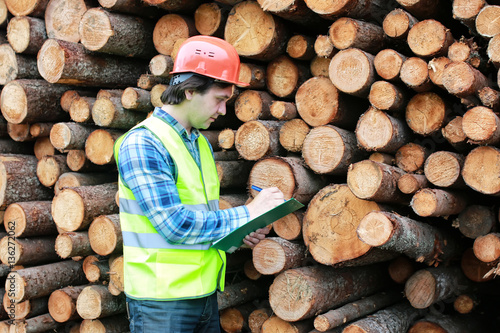 man in helmet worker wood lumber