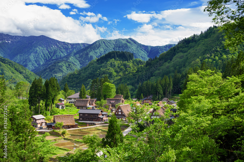 Fototapeta premium world heritage village Gokayama Village