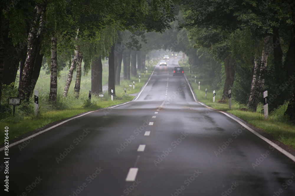 Obraz premium Landstraße im Regen Allee Gefahr Sicherheit