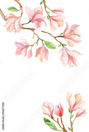 Fototapeta Naklejka Na Ścianę i Meble -  magnolia watercolor