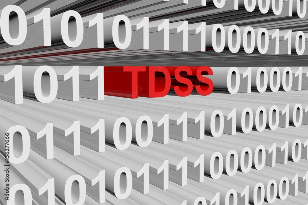 tdss in the form of binary code, 3D illustration