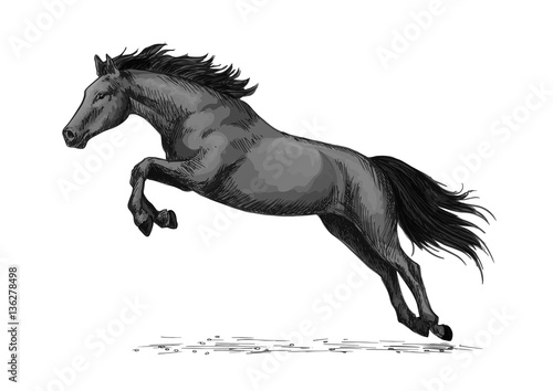 Fototapeta Naklejka Na Ścianę i Meble -  Horse running and jumping vector sketch symbol