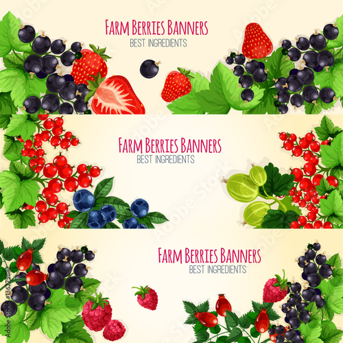 Fresh berries and fruits vector banners set