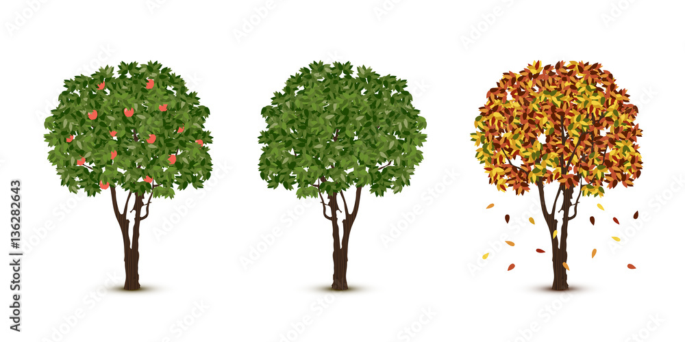 Obraz premium Vector trees set on white background
