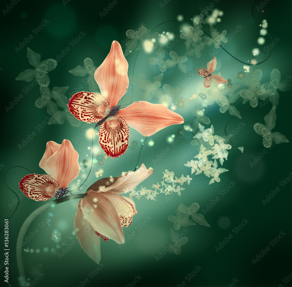 Fototapeta Niesamowite motyle z płatków orchidei, kwiatowy tło. Kwiaty i owady.
