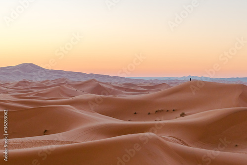 sand desert   © praphab144