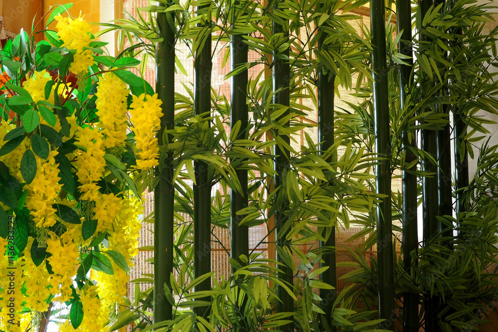 Obraz premium green bamboo