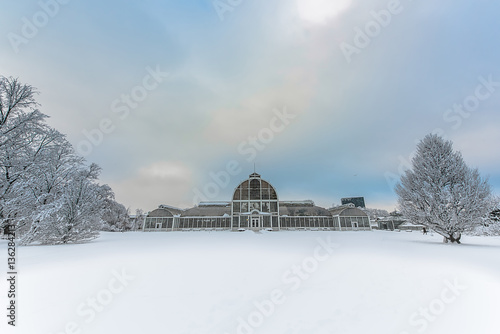 Garden in Gothenburg in winter
