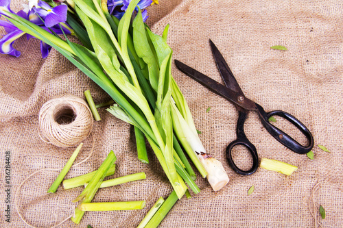 Spring flower arrangement against a rustic background