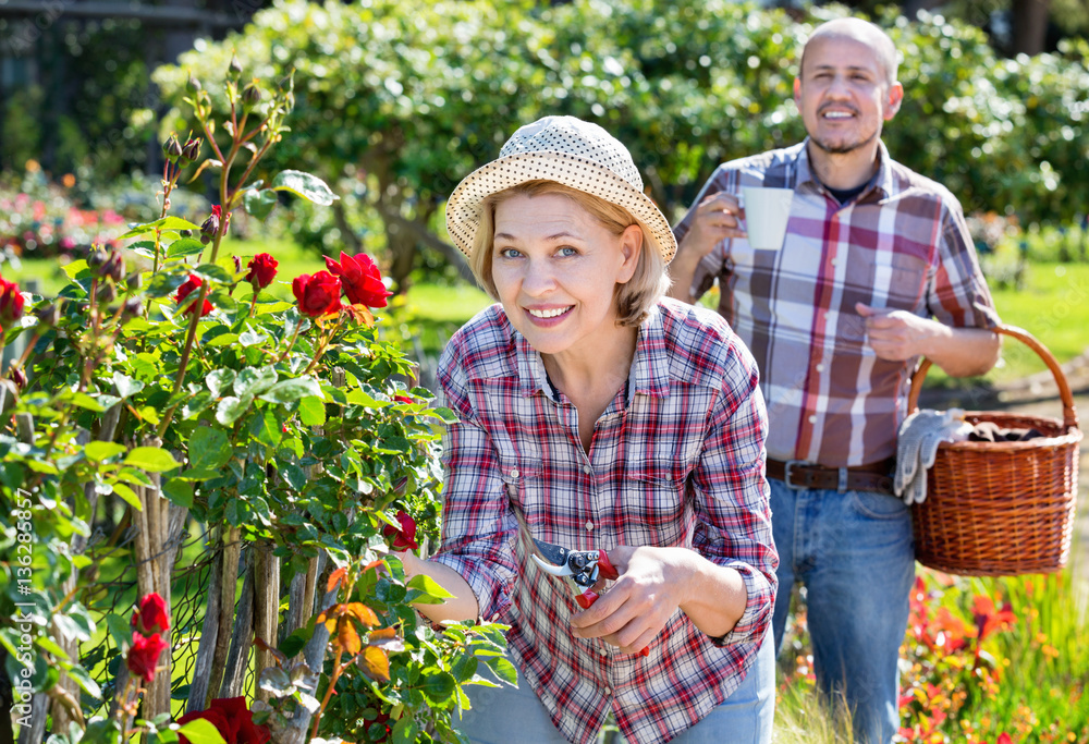 Fototapeta premium Senior couple looking after flowers in the garden