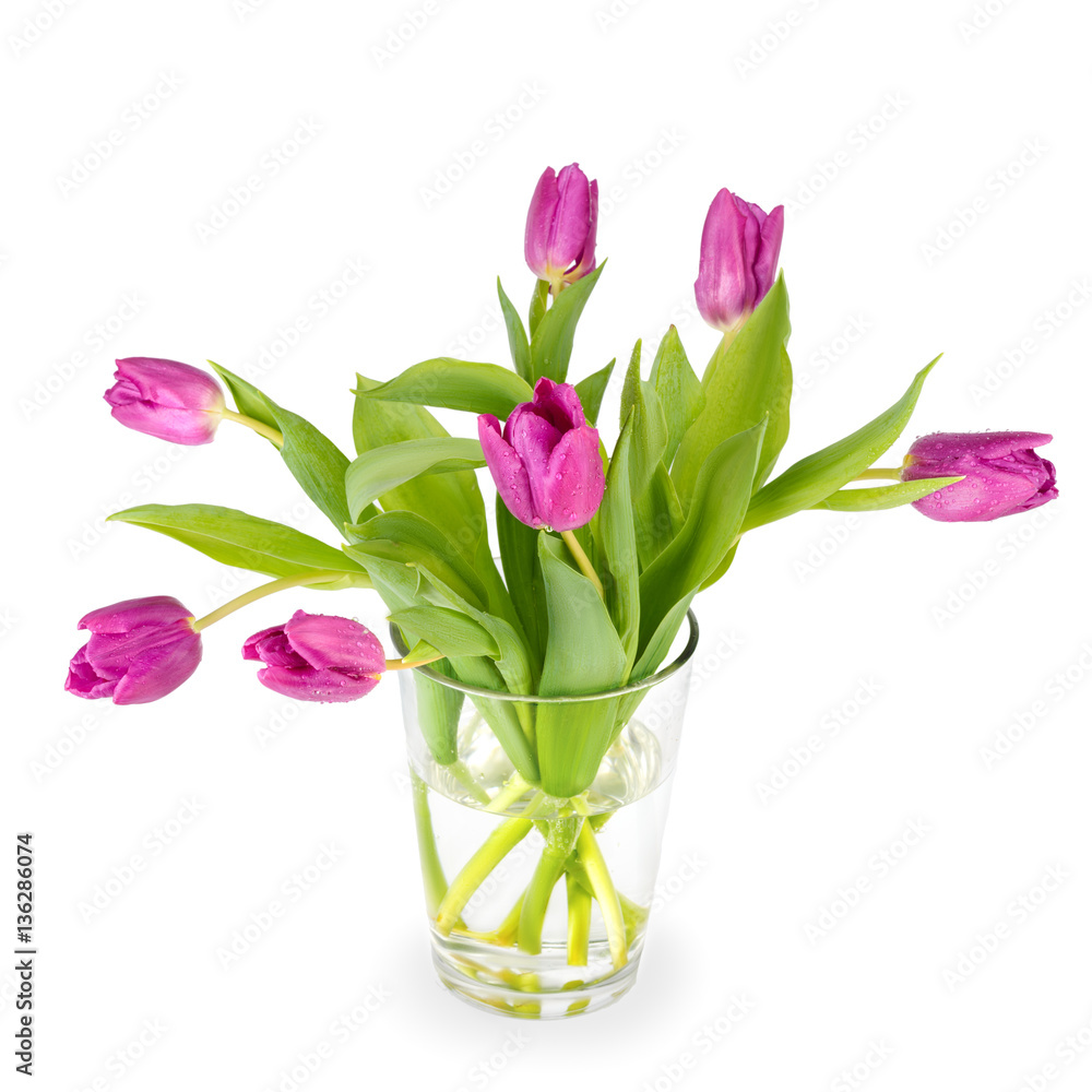 Tulips in a glass vase on white background Tulips in a glass vase on white background