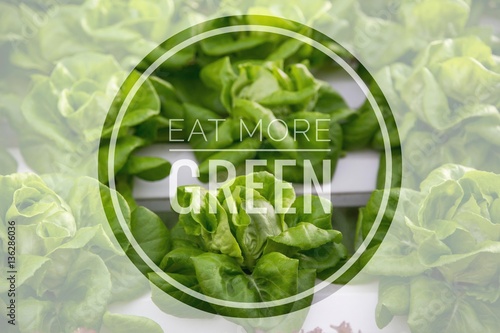 Eat more green words on green vegetable hydroponic food background.