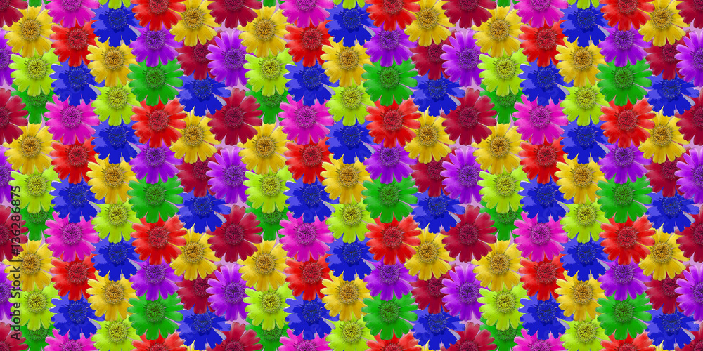 kosmeya. Seamless pattern texture of flowers.