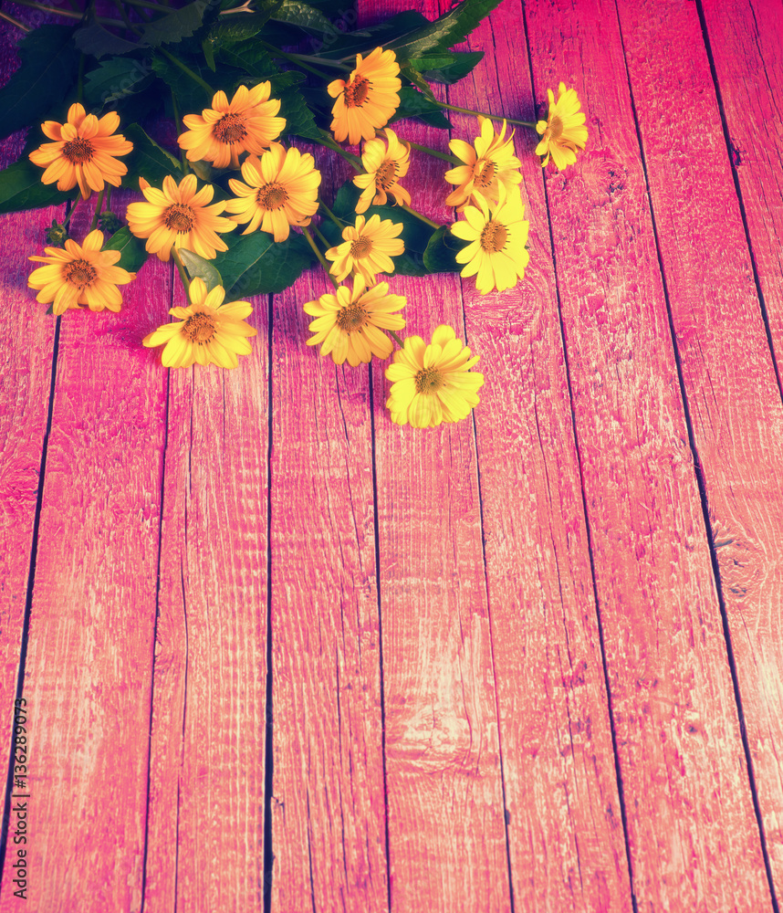 Daisy bouquet Daisy bouquet