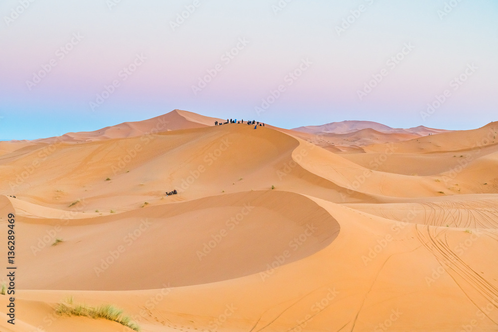 sand desert
