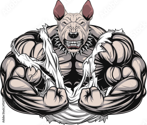 Angry dog bodybuilder