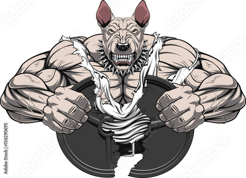 Angry dog bodybuilder