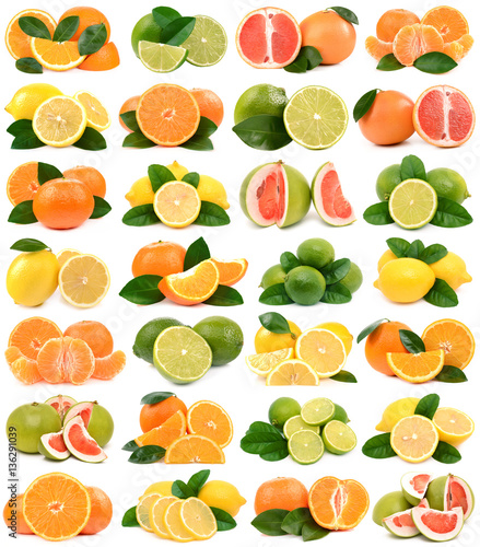 Fototapeta Naklejka Na Ścianę i Meble -  Fruit of citrus