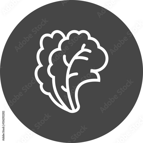 salad icon
