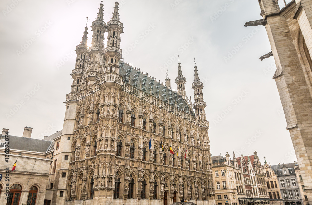Fototapeta premium Leuven in Belgium