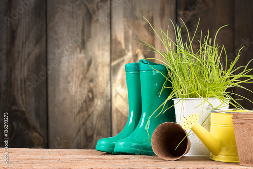 Garden tolls and spring seedling on wooden background. Rubber, narcis and tulips. © verca