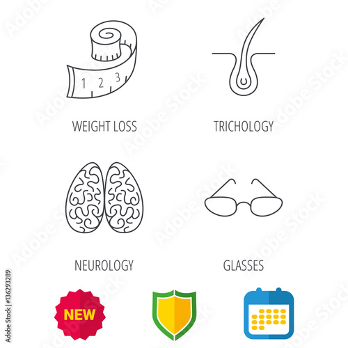 Glasses, neurology and trichology icons. Weight loss linear sign. Shield protection, calendar and new tag web icons. Vector