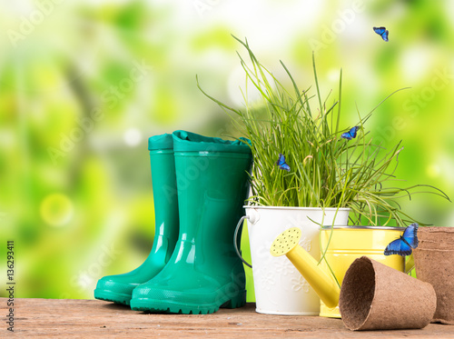 Garden tolls and spring seedling on wooden background. Rubber, narcis and tulips. photo