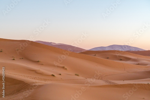 sand desert at the sunset 
