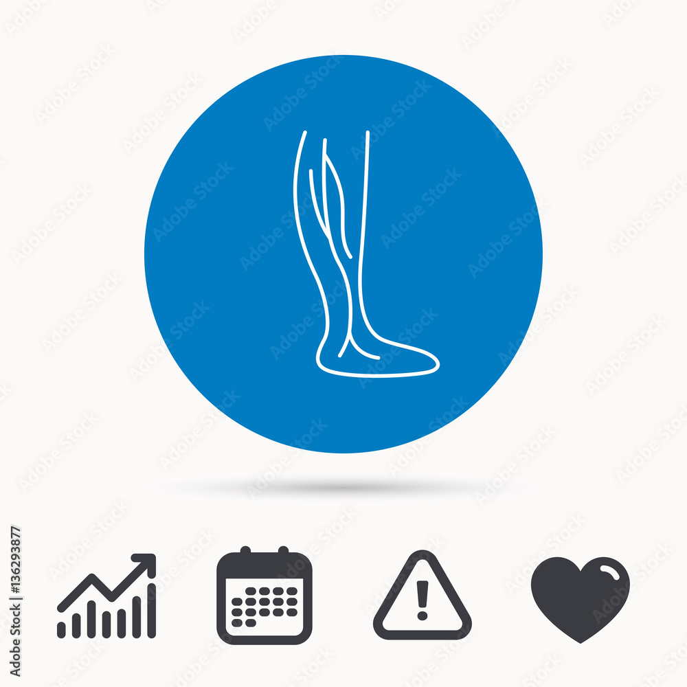 Fototapeta premium Phlebology icon. Leg veins sign. Varicose or thrombosis symbol. Calendar, attention sign and growth chart. Button with web icon. Vector