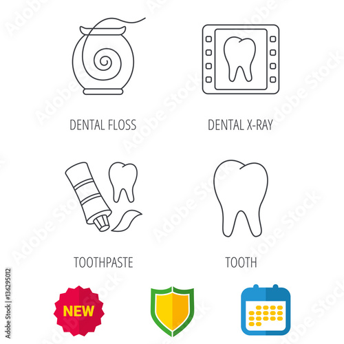 Dental floss, tooth and toothpaste icons. Dental X-ray linear sign. Shield protection, calendar and new tag web icons. Vector