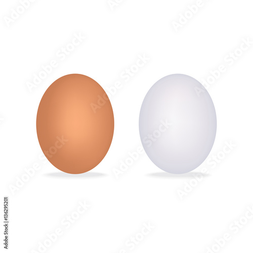 Realistic chicken eggs isolated on white background with shadow. illustration.
