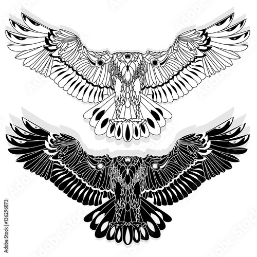 Eagle flying on white backgroun.