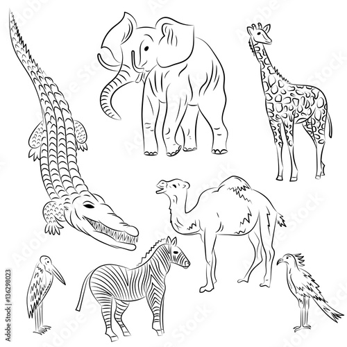Hand Drawn African Animals and Birds. Doodle Drawings of Elephant, Zebra, Giraffe, Camel, Marabou and Secretary-bird. Sketch Style. Vector Illustration.