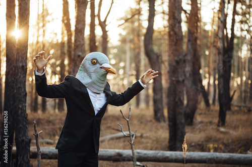 Fotografia Weird businessman in a rubber bird mask pretending to fly in the sunset forest