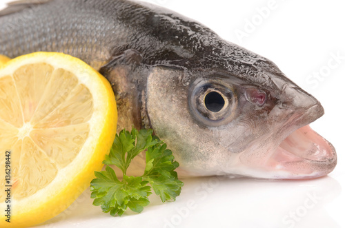 Seabass on a white background