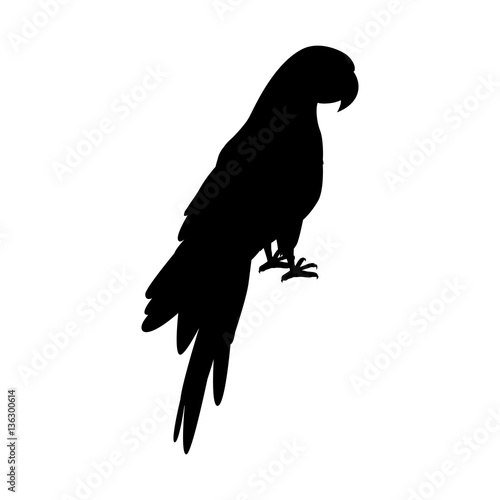 Ara Parrot Flat Design Vector Illustration