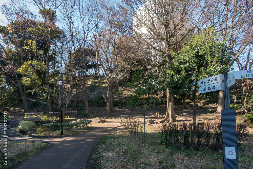 芝丸山古墳