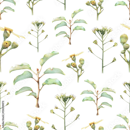 Seamless pattern with beautiful spring flowers and plants drawn by hand with colored pencils. Pencil drawing. Can be used for pattern fills, wallpapers, web page, surface textures.