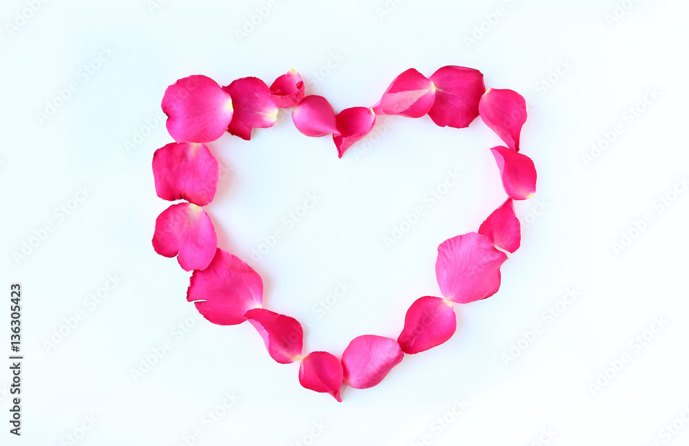 Petals of rose flower in heart shape on white background.