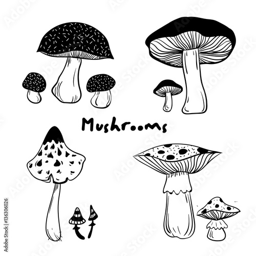 Collection of healthy and unhealthy mushrooms with inscription Mushrooms 