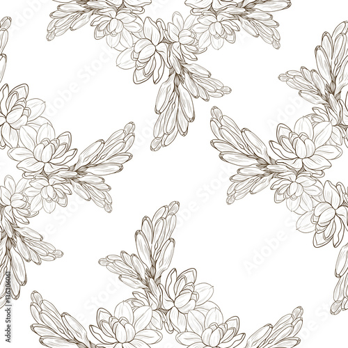 Branches of tuberose - vector image. Tuberose Image medicinal, perfumery and cosmetic plants. Seamless pattern.Wallpaper. Use printed materials, signs, posters, postcards, packaging.