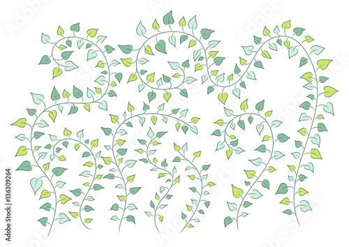 vector floral background with green clambering plants